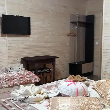 Dacia Hotell Tatariv